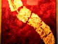 galler23